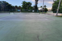 Banyan-Lakes_Banyan-Lakes-Before-2
